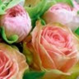 Meet your Posher, Jen